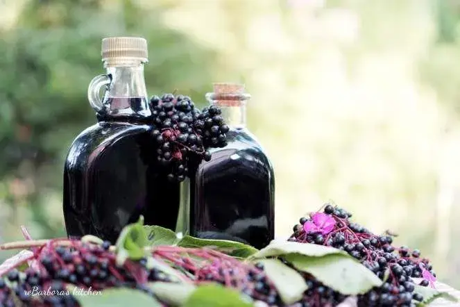 Bezinkový likér Bezinkový likér