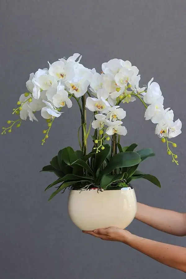 Orchideje a substrát