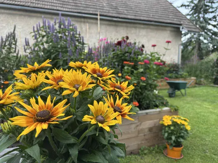 Bar U čmeláka Bar U čmeláka