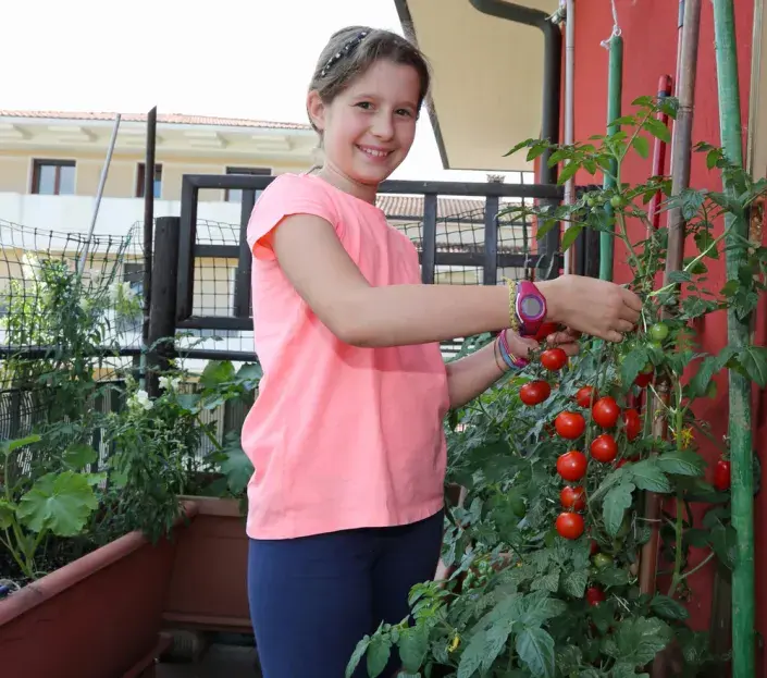 Pěstování zeleniny a ovoce na balkoně Pěstování zeleniny a ovoce na balkoně