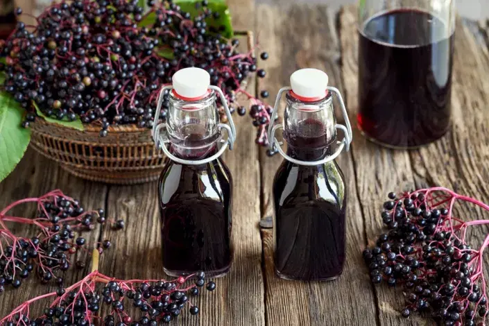 Černý bez (Sambucus nigra) 