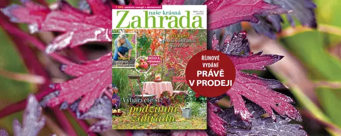 Naše krásná zahrada říjen 2025