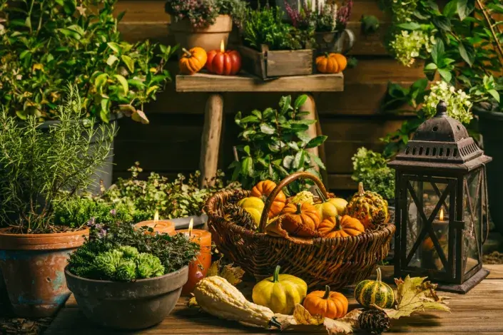 Podzimní balkon Podzimní balkon