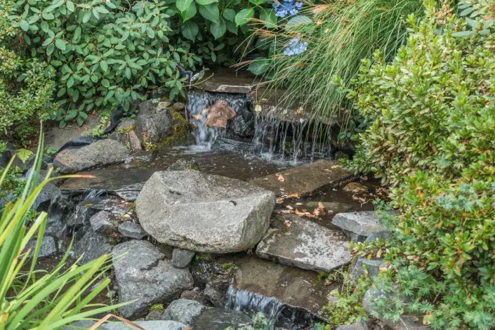 Dešťová zahrada Dešťová zahrada