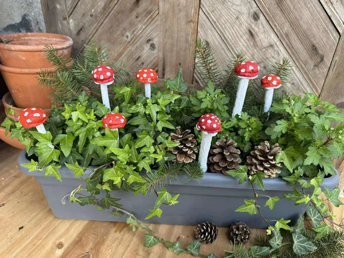 muchomůrky z ořechů muchomůrky z ořechů