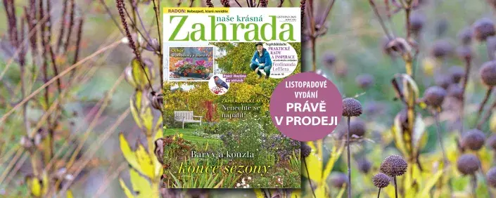 Naše krásná zahrada listopad 2025