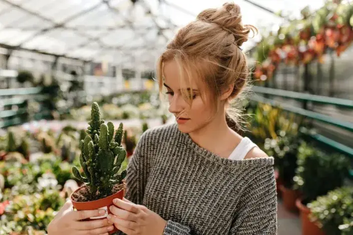 Zalévání pokojovek Zalévání pokojovek