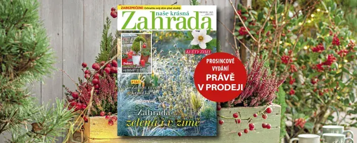 Naše krásná zahrada prosinec 2025 Naše krásná zahrada prosinec 2025