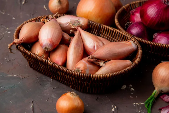 Uchování cibule Uchování cibule