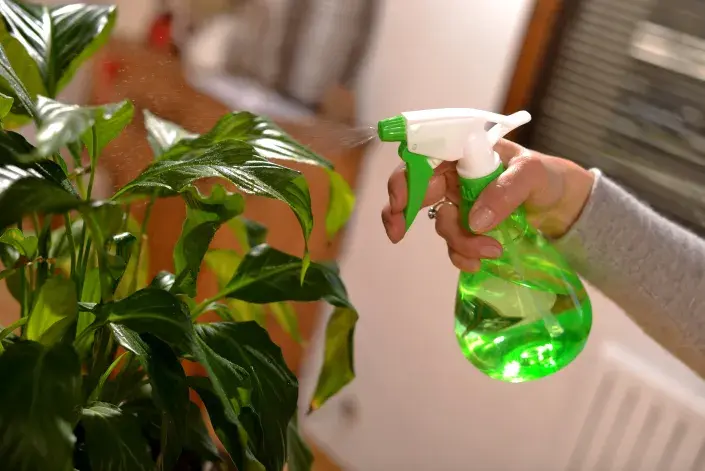 Postřik proti škůdcům