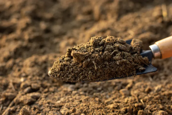 Rašelinu v zahradě nahraďte kompostem