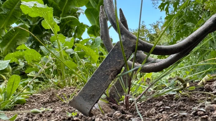 Kultivátor combi DeWit Podřezávač plevele