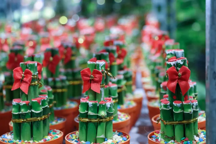 Dárek pro štěstí Dárek pro štěstí