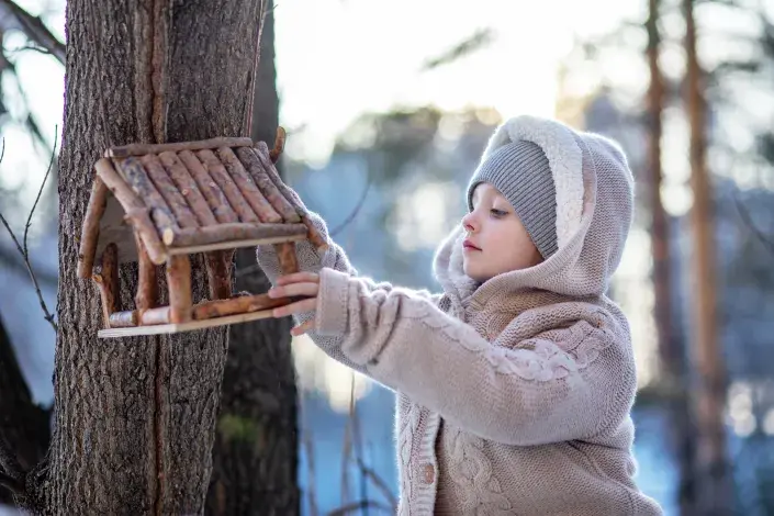 Ptáci v zimě Ptáci v zimě