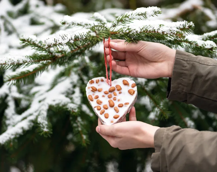 Vánoční krmítka pro ptáky