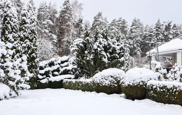 Krásy zimní zahrady