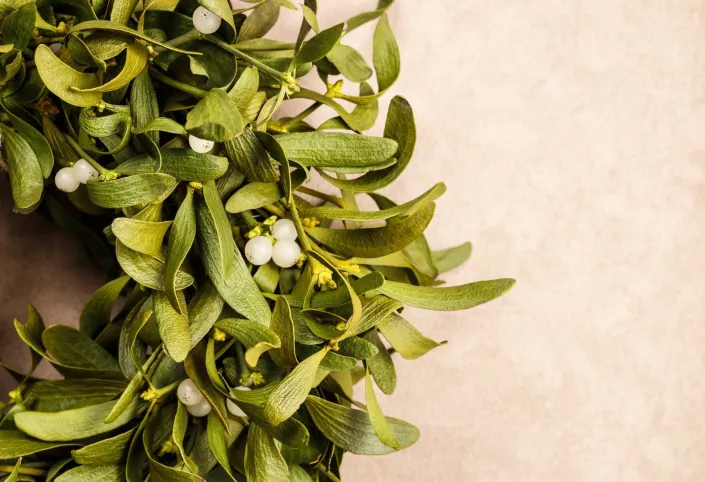 Vánoční věnec na dveře 