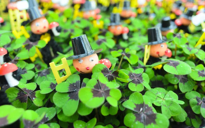 čtyřlístek, oxalis