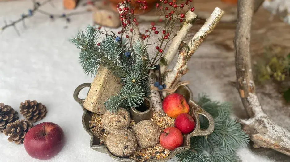 krmítko z formy na bábovku