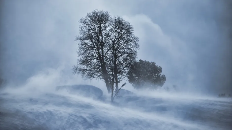 Předpověď počasí slibuje pořádnou chumelenici. Nezajdete raději na výstavu?