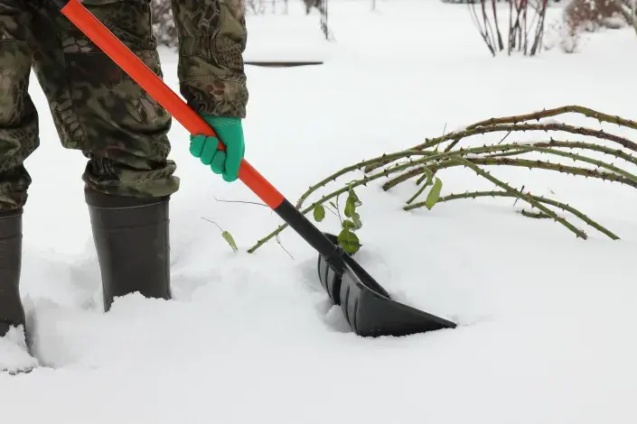 Využití sněhu v zahradě