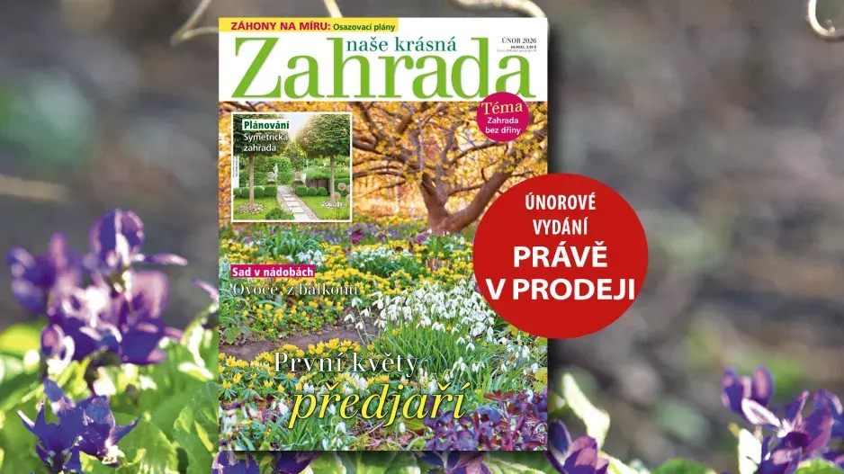 Naše krásná zahrada únor 2026