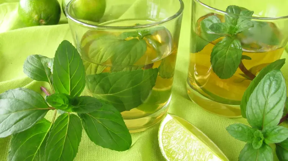 Druhy máty přehledně Druhy máty přehledně