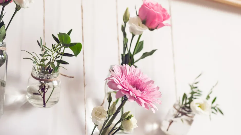 Závěsná množírna 