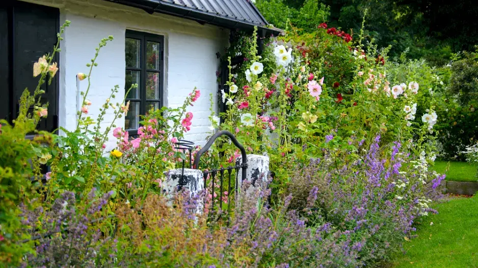 Předzahrádka u domu