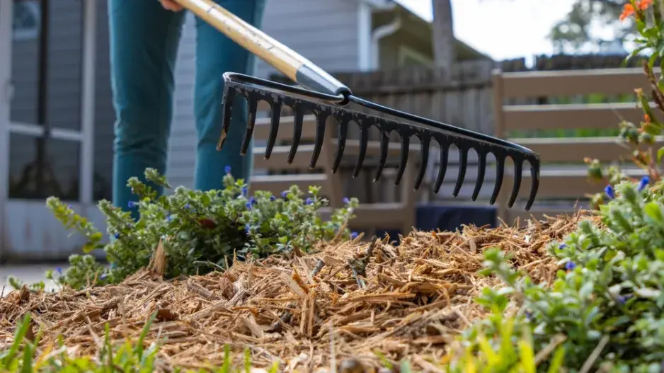 Pátek 13. na zahradě Pátek 13. na zahradě