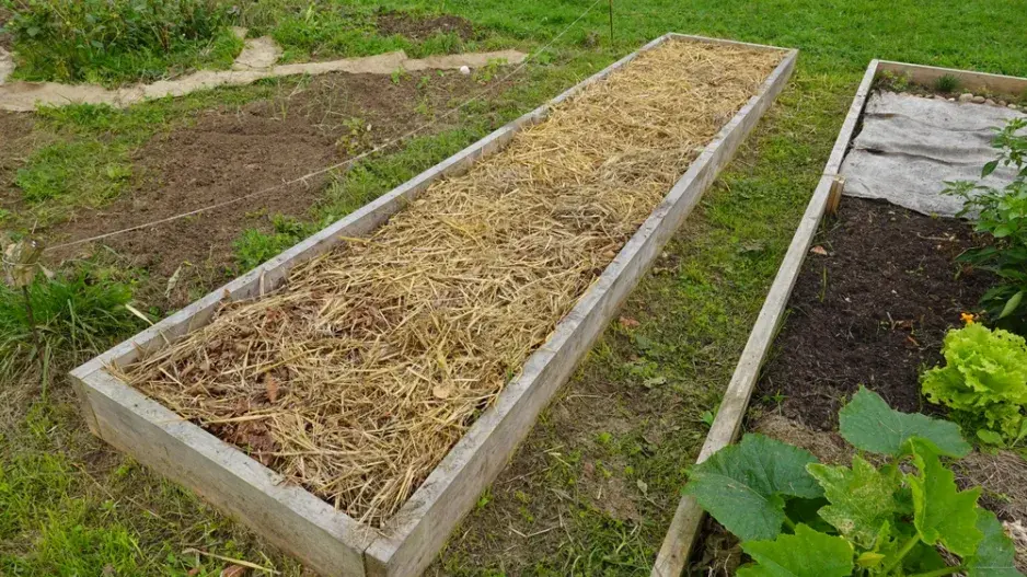 Instantní záhon Instantní záhon