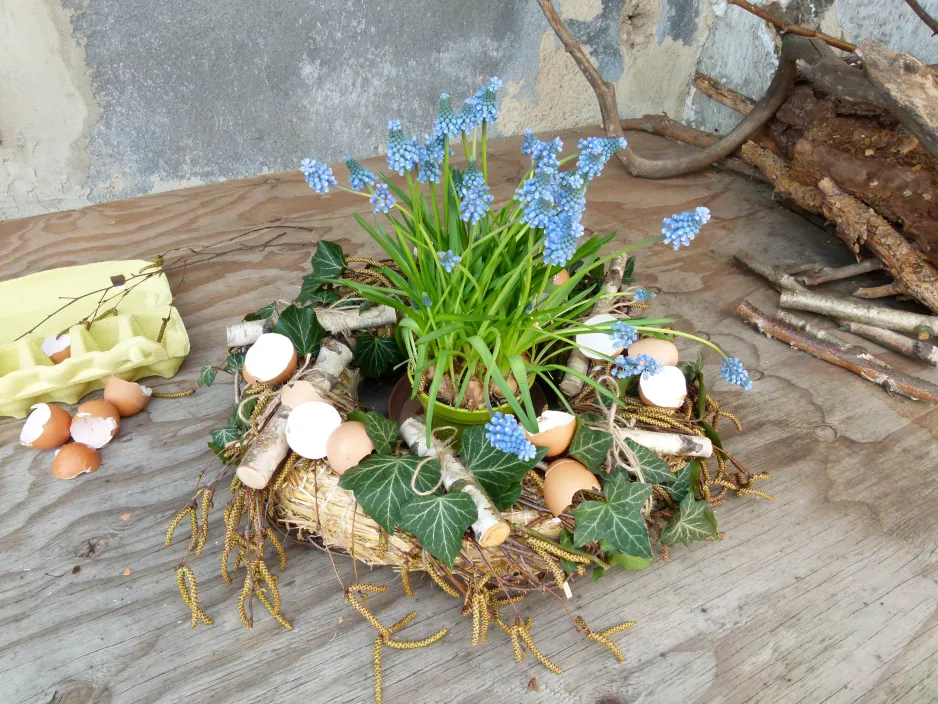 velikonoční modřence velikonoční modřence