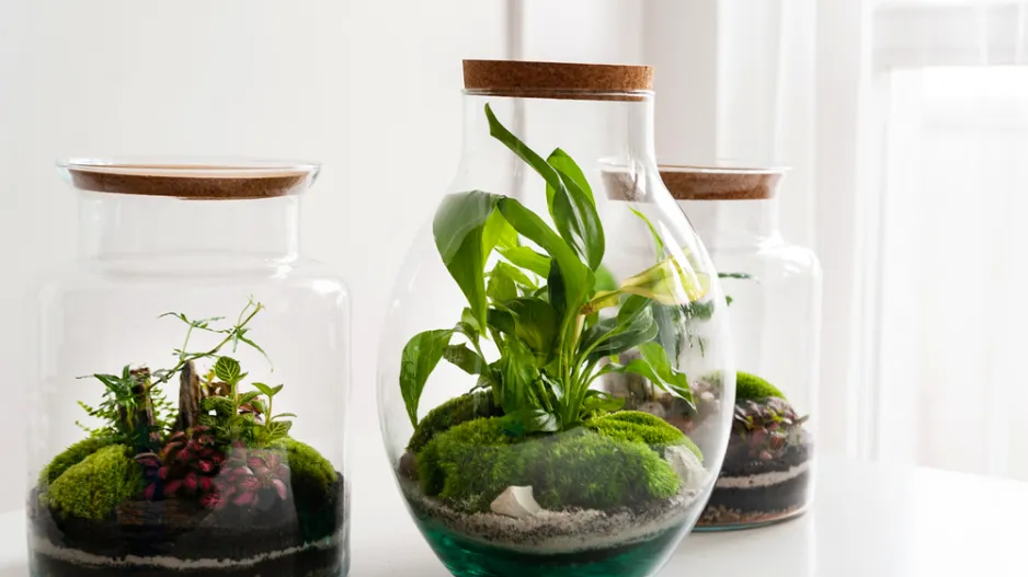 Inspirace pro mechárium, to jsou malé zelené světy ve skle