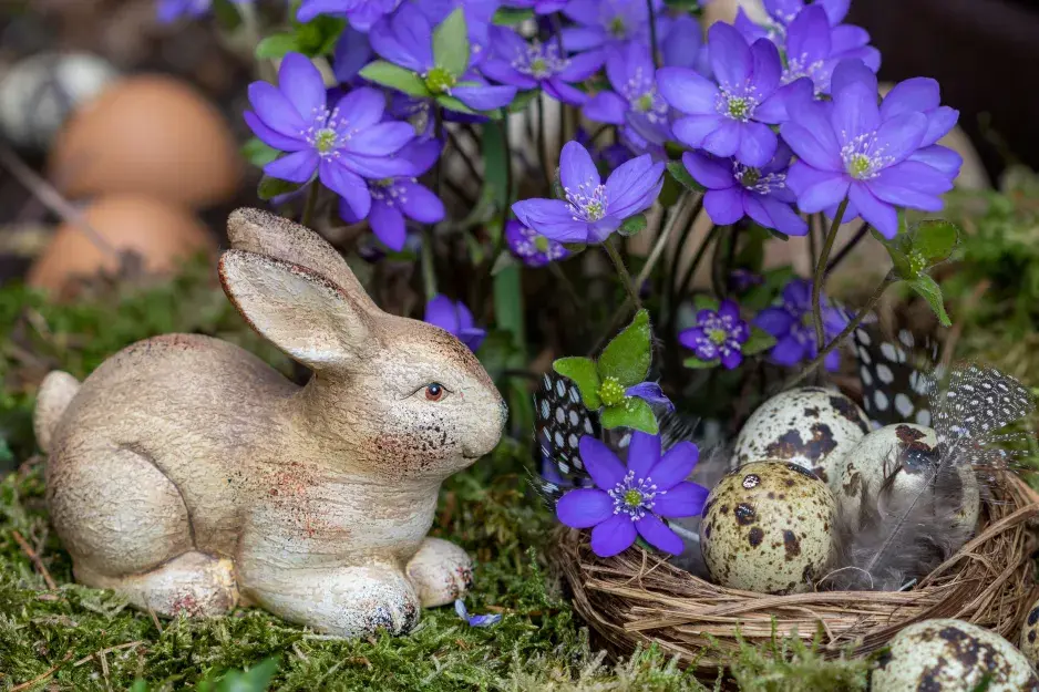Jaterník podléška (Hepatica nobilis) 