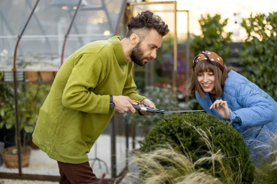 Tvarované dřeviny v zahradě