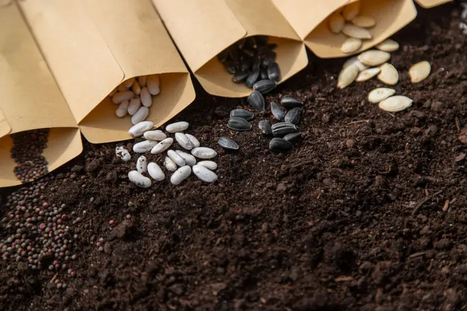 Kvalitní osivo Kvalitní osivo