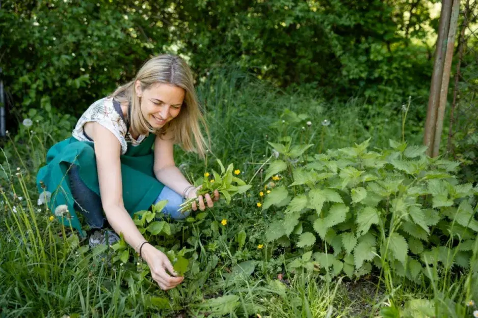  Jedlé bylinky rostou všude