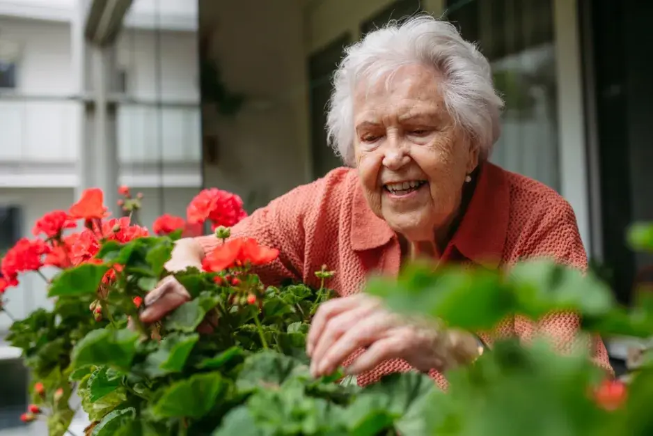 Péče o balkonové rostliny