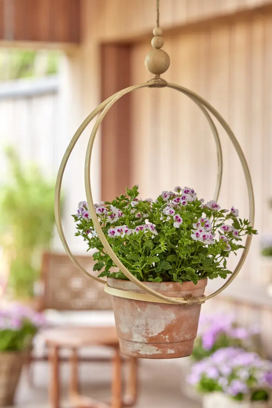 Nejkrásnější nápady na zavěšení muškátů v boho stylu, větve i recyklované dekorace