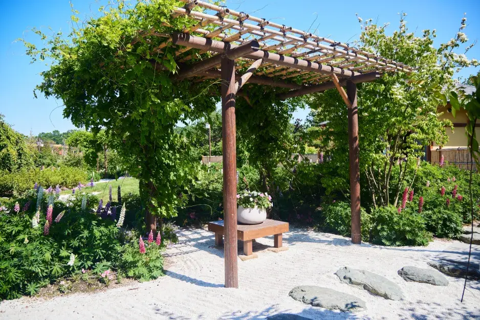 Pergola na zahradě