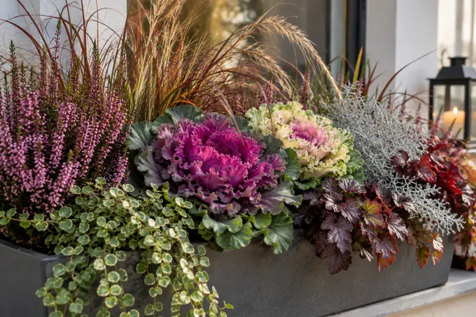 Truhlíky Truhlíky