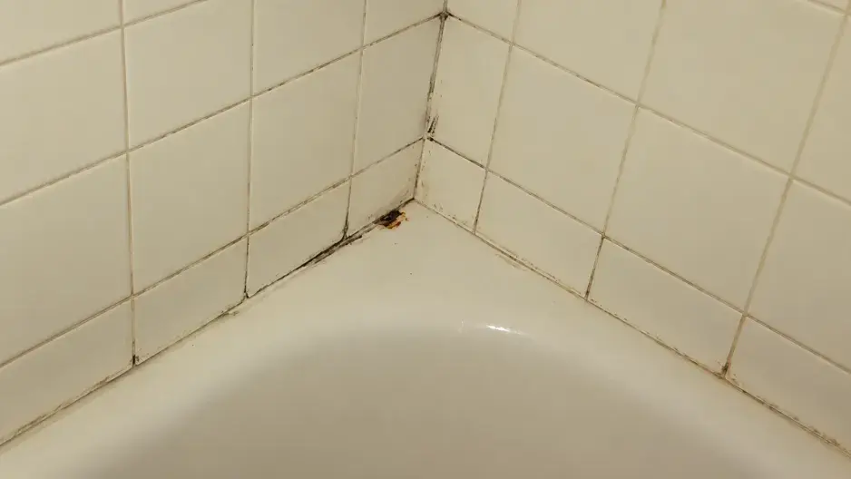 Plíseň v koupelně