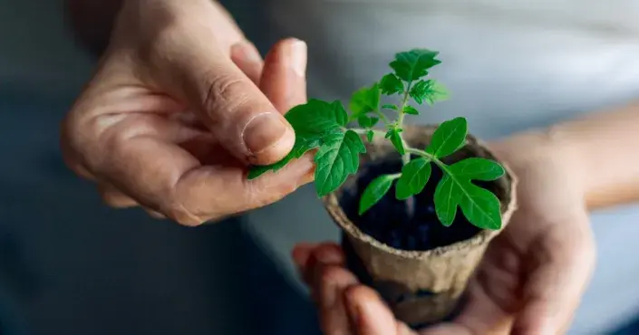 Placeholder image Placeholder image