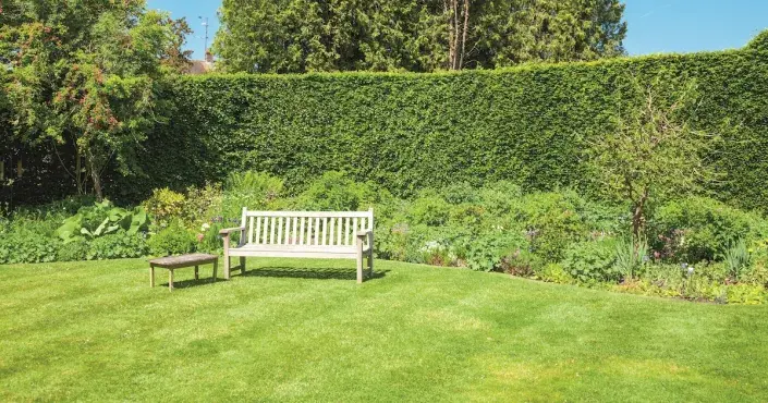 Placeholder image Placeholder image