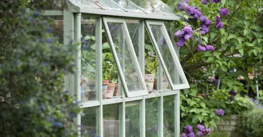Jak si postavit skleník Náhled