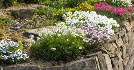 Iberka na prázdná místa Náhled