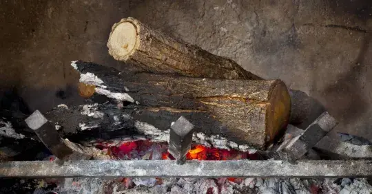 Popel ze dřeva není odpad, ale hnojivo  Náhled