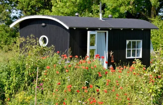 Maringotka na zahradě: letní bydlení i pracovna Náhled