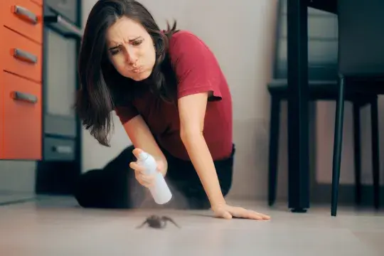 Buďte hodní a pavouky v bytě hned nezabíjejte