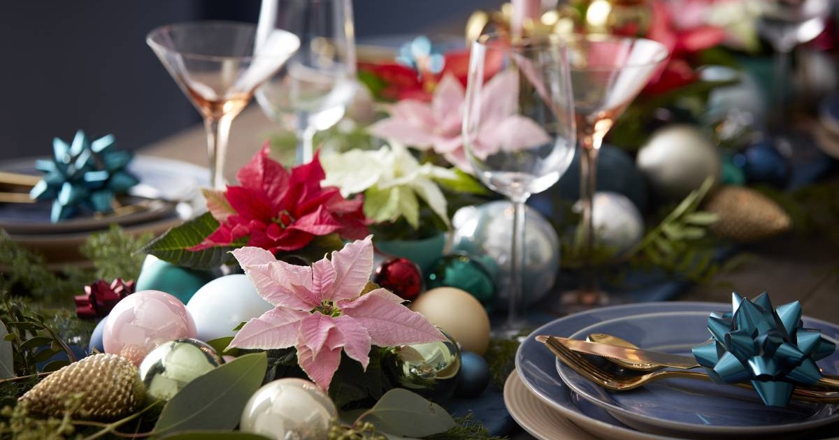 Kam Umistit A Jak Zalevat Vanocni Hvezdu